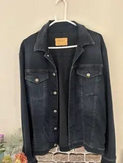 BIG JOHN ダークデニムジャケット L