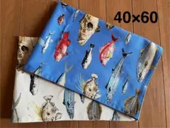 訳あり★さかな図鑑★単品ランチョンマット２枚セット40×60★給食ナフキン