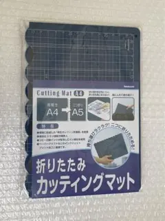 Item thumbnail for item 5076ef22-febb-4bcd-93cd-29ca73bcb5f1