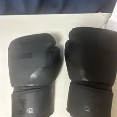 RING エリミネーター 12oz ブラック ボクシンググローブ