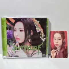 NMIXX / ENTWURF Jewel ver. ジニ トレカ付き