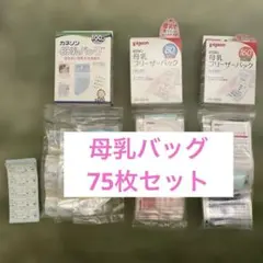 【いずれも内袋未開封】母乳フリーザーパック 100ml/80ml/160ml