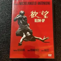 欲望('66英/伊) DVD