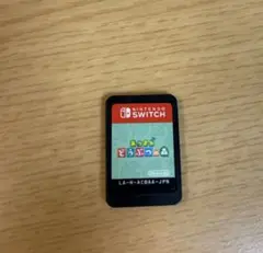 あつまれ どうぶつの森 Nintendo Switch