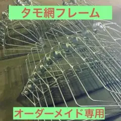 2025年最新】シラスウナギ タモの人気アイテム - メルカリ