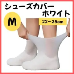 Item thumbnail for item 2e082718-d7de-490a-b7ce-266353ca3544