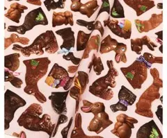 新着タイムレストレジャーUSA輸入コットン生地50cmチョコウサギ No505