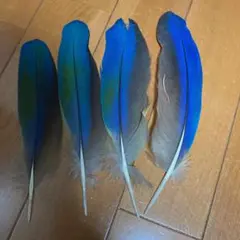 フライマテリアル