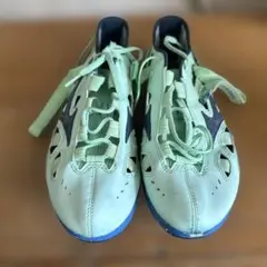 Item thumbnail for item 697eb9a1-a2df-4462-93cf-bf17e5c9d945