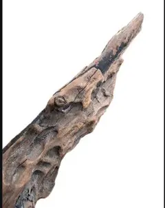 Item thumbnail for item 20625e6f-4e24-44d1-895f-c54ff34c18a2