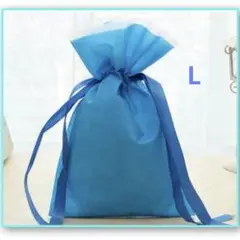 Item thumbnail for item dd42e67b-f574-4954-9182-e91c4382a2dc