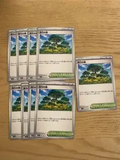 活力の森　9枚