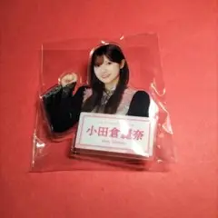 Item thumbnail for item 1c99ed32-fe6d-449f-896e-d1137771a1c8