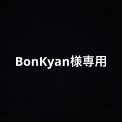 Bonkyan様専用 訳あり 冷凍紅はるか焼き芋8kg