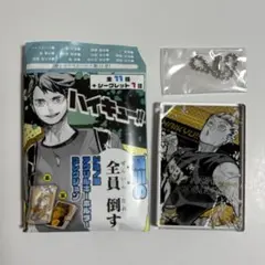及川の全員 倒す ドミノ風アクリルキーホルダーコレクション