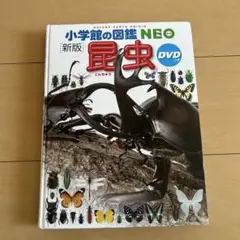 小学校の図鑑NEO 新版 昆虫