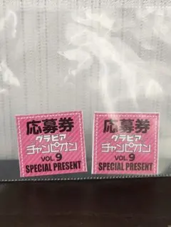 グラビアチャンピオンVOL.9　応募券2枚