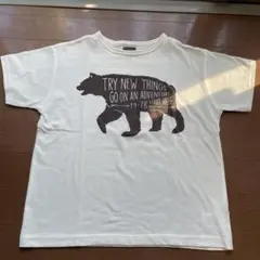 マーキーズLSP Tシャツ 140