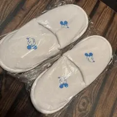 Item thumbnail for item 42855d0a-05de-4f4c-947c-e350a43d9c83