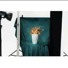 Item thumbnail for item 556dc98b-5e68-47cd-a7fe-45f20e06a7de