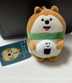デコレ　コンコンブル　decole concombre