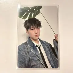 straykids 静岡 エコパ 5/11 スンミン トレカ Hollow 限定