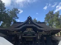 専用出品