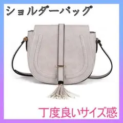 ショルダーバッグ レディース ハンドバッグ 秋 冬 ミニバッグ スモールバッグ