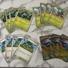 ポケモンカード フシギダネ・フシギソウ・フシギバナ　活力の森　セット