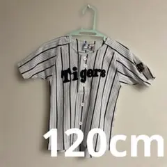 Tigers ユニフォーム サイズ120 ストライプ　タイガース　キッズ
