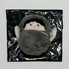 ハイキュー くるみたぴぬい 赤葦