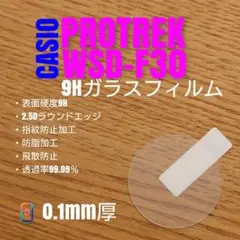CASIO PROTREK WSD-F30【9Hガラスフィルム】あり