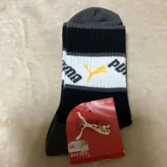 Item thumbnail for item 1fd41aae-ddf9-41fe-b84e-6bf20c9132e4