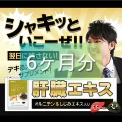 オルニチンu0026しじみエキス入り 肝臓エキス 6ヶ月分★サプリメント