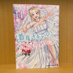 道産子ギャルはなまらめんこい 1〜14（全巻初版帯付き・特典付き