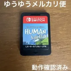 ヒューマンホールフラット　スイッチ　ソフトのみ