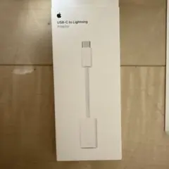 USB-C to Lightning adapter