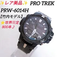 ✨レア美品✨PROTREK PRW-6014H 竹内モデル 世界800本限定品
