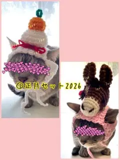 Item thumbnail for item 680dcd1c-b055-460a-ae14-3f4230e91cfb