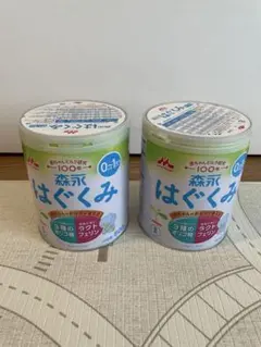はぐくみ 粉ミルク缶　800g 2缶　未開封　賞味期限2027年