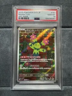 マラカッチ　AR PSA10