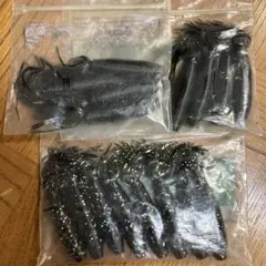 ゲーリーヤマモト ファットイカ