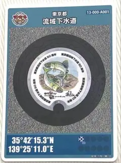 ⚫️マンホールカード 第13弾 東京都 流域下水道A001 ロット012 匿名配送