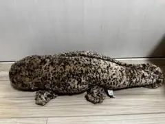 京都水族館 オオサンショウウオ L
