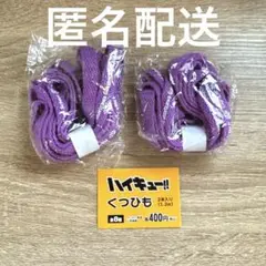 【ハイキュー】くつひも2本入り(1.2m) 白鳥沢学園高校