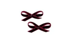 Item thumbnail for item da1a6275-8ea0-4a39-a1d0-9c6d8dcace1e
