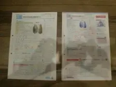 積み上げ 中学 歴史１ ①～⑨ 解答付（鉛筆は消させていただいております）