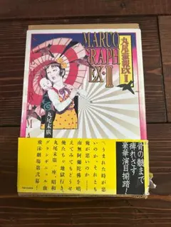 【 丸尾畫報 EXI 】 & 【 丸尾畫報 EXII 】　2冊セット Amazon.co.jp: 丸尾画報EX2 パン・エキゾチカ : 丸尾 末広: 本