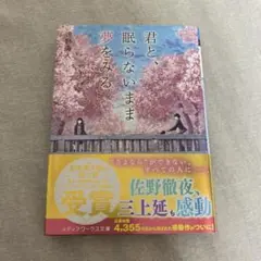 君と、眠らないまま夢をみる