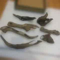 Item thumbnail for item 631e10c7-58f0-4dba-9068-e0d6f812f4a4